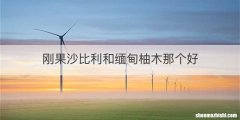 刚果沙比利和缅甸柚木那个好