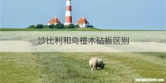 沙比利和乌檀木砧板区别