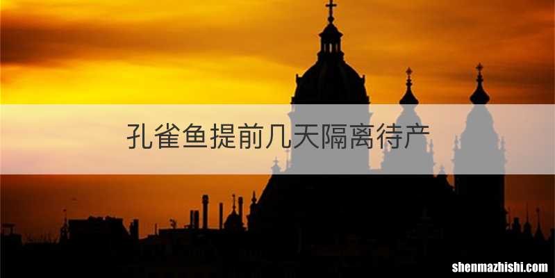孔雀鱼提前几天隔离待产