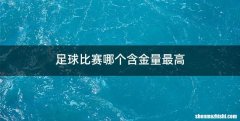 足球比赛哪个含金量最高
