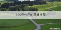 300元一斤的茶叶推荐