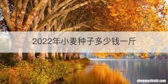 2022年小麦种子多少钱一斤