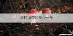天目山茶叶多少一斤