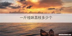 一斤桂味荔枝多少个