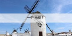 一斤杨梅几