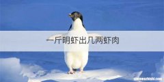 一斤明虾出几两虾肉