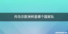 内马尔欧洲杯是哪个国家队