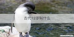 古代12岁叫什么