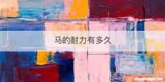 马的耐力有多久