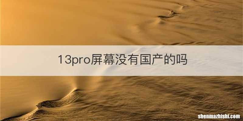 13pro屏幕没有国产的吗