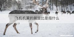 飞机机翼的展旋比是指什么