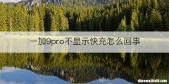 一加9pro不显示快充怎么回事