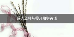 成人怎样从零开始学英语