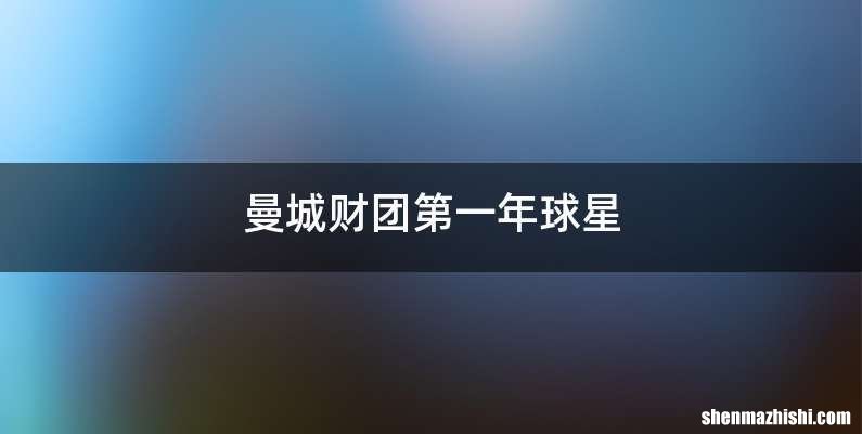 曼城财团第一年球星