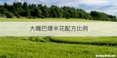 大嘴巴爆米花配方比例