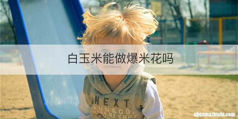 白玉米能做爆米花吗
