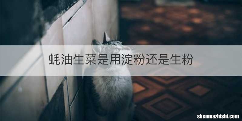 蚝油生菜是用淀粉还是生粉