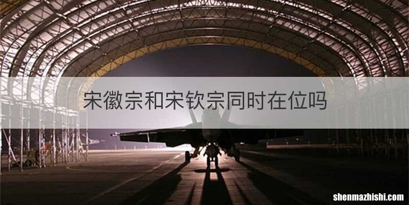 宋徽宗和宋钦宗同时在位吗