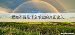 爱而不得是什么感觉的真正含义