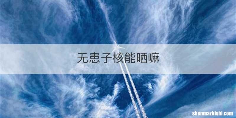无患子核能晒嘛