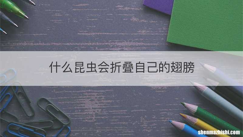 什么昆虫会折叠自己的翅膀