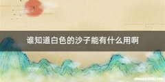 谁知道白色的沙子能有什么用啊