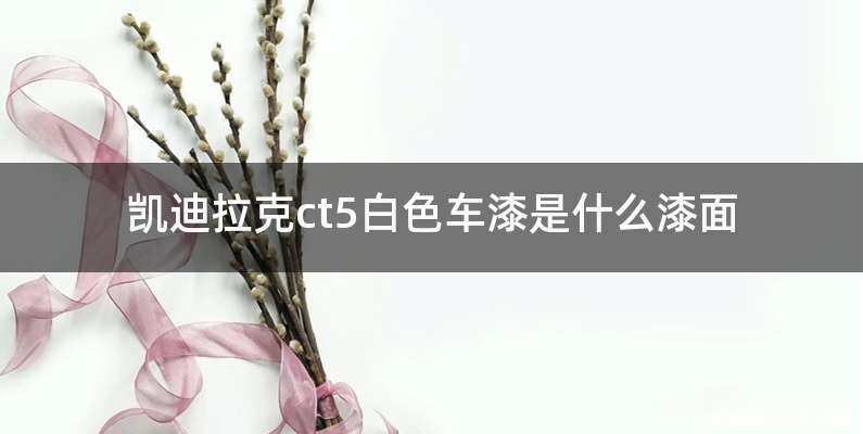 凯迪拉克ct5白色车漆是什么漆面
