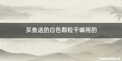 买鱼送的白色颗粒干嘛用的