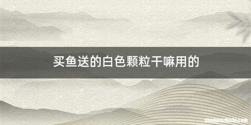 买鱼送的白色颗粒干嘛用的