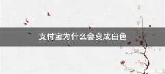 支付宝为什么会变成白色