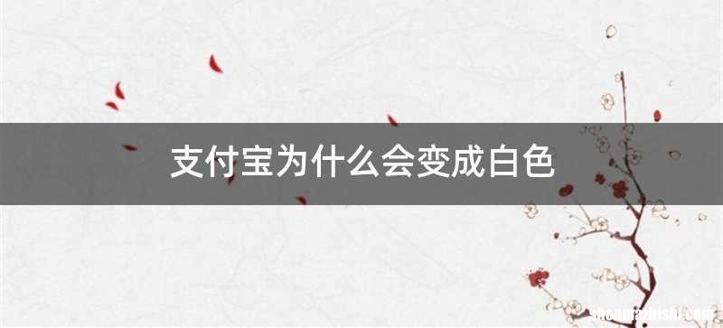 支付宝为什么会变成白色