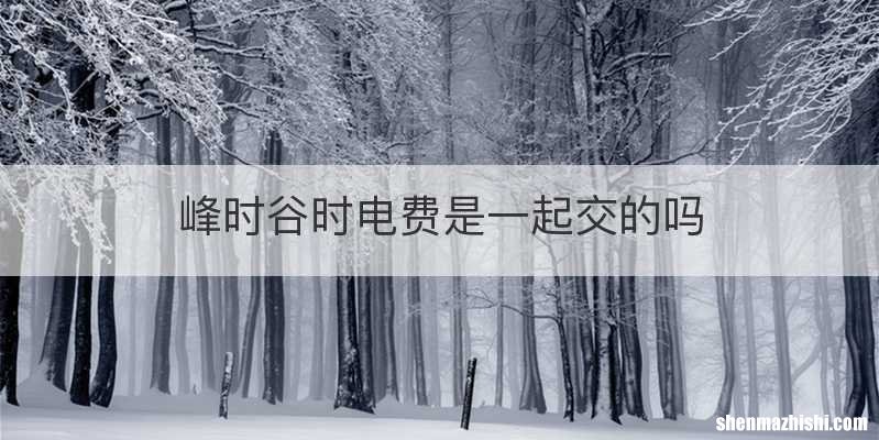峰时谷时电费是一起交的吗