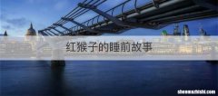 红猴子的睡前故事