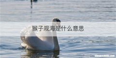 猴子观海是什么意思