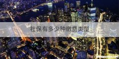 社保有多少种缴费类型