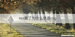 tes赢了为什么恭喜rng