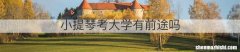 小提琴考大学有前途吗