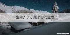 生如芥子心藏须弥的意思