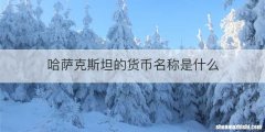 哈萨克斯坦的货币名称是什么