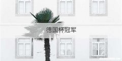 德国杯冠军