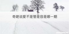 奇葩说爱不是管是容是哪一期