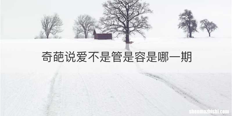 奇葩说爱不是管是容是哪一期