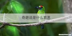 奇葩说是什么意思