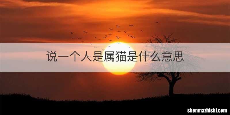 说一个人是属猫是什么意思