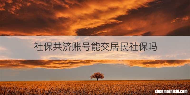 社保共济账号能交居民社保吗