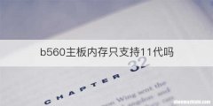 b560主板内存只支持11代吗