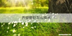 养螳螂虾怎么换水