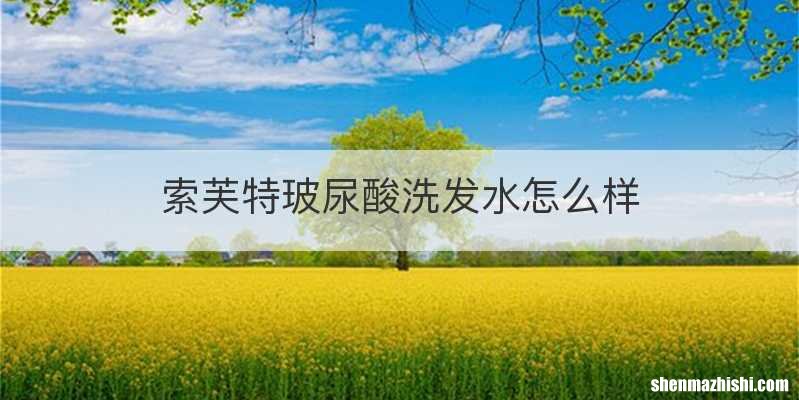 索芙特玻尿酸洗发水怎么样