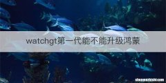 watchgt第一代能不能升级鸿蒙