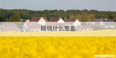 暗镜什么意思